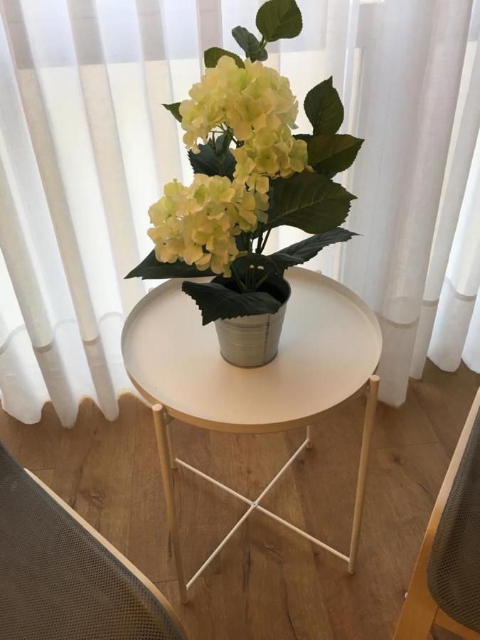 Piso Loureiro Crespo Apartment Pontevedra Ngoại thất bức ảnh