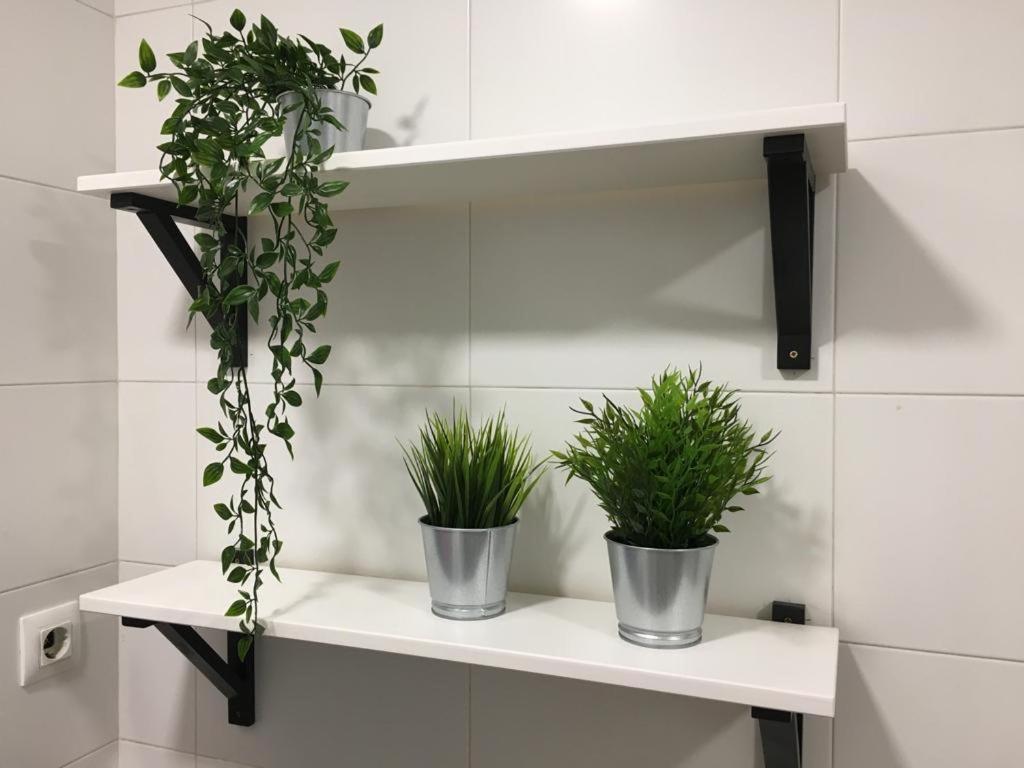 Piso Loureiro Crespo Apartment Pontevedra Ngoại thất bức ảnh